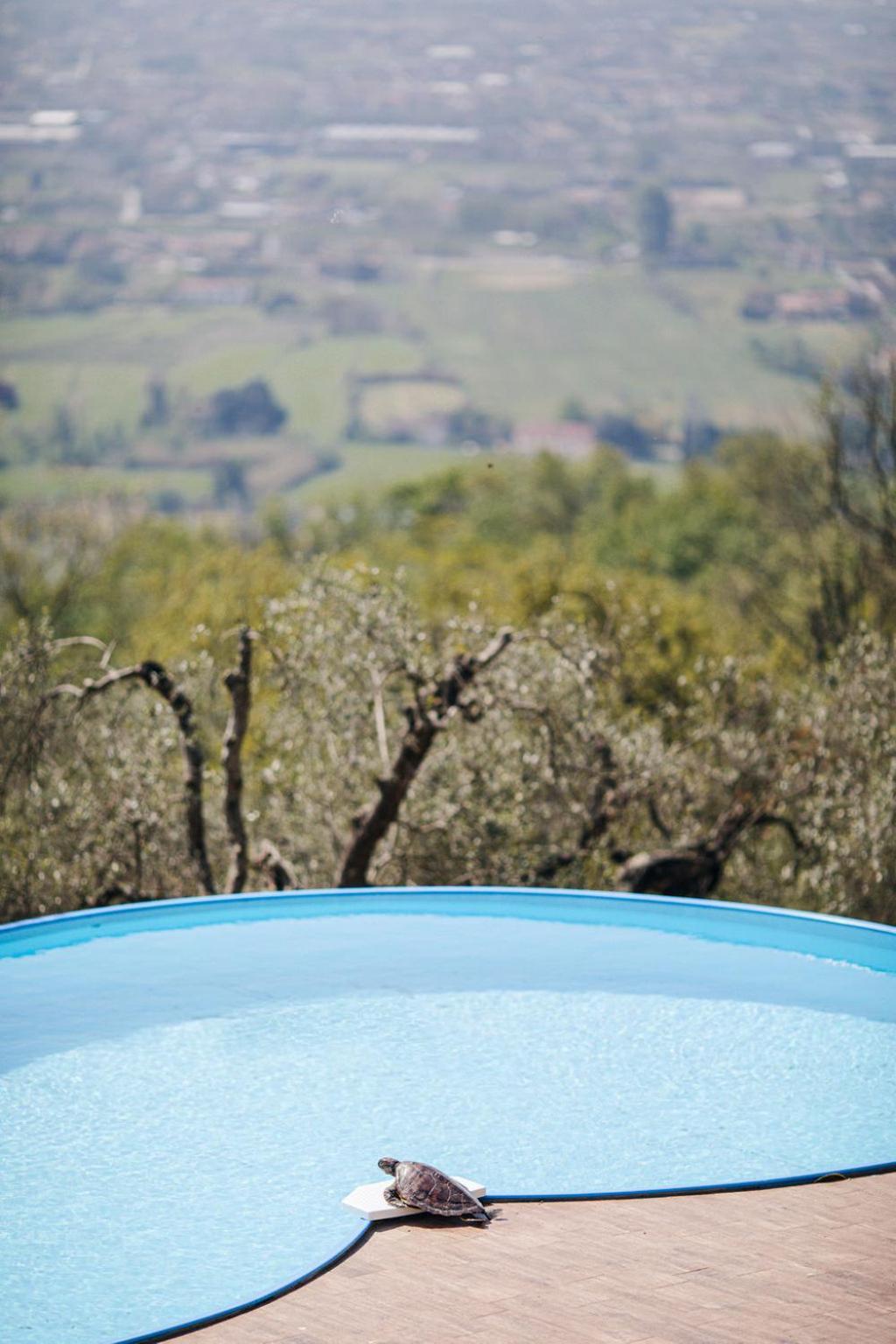 Villa Desiderio Tuscany 皮斯托亚 外观 照片